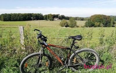 Raymond , Mężczyzna, 53, Niemcy, Zdjęcie: 4