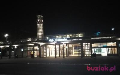 Piotr , Mężczyzna, 48, Holandia, Zdjęcie: 4