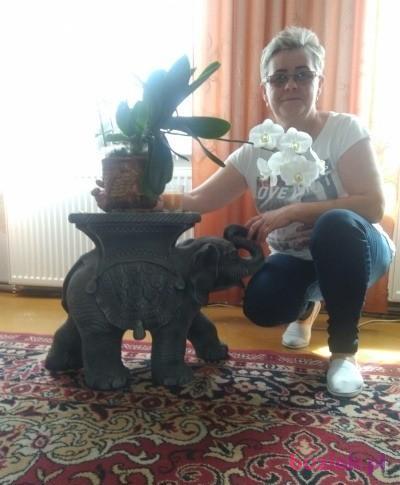 irenafgw, Kobieta, 66, Gorzów Wielkopolski, Polska, Zdjęcie: 2