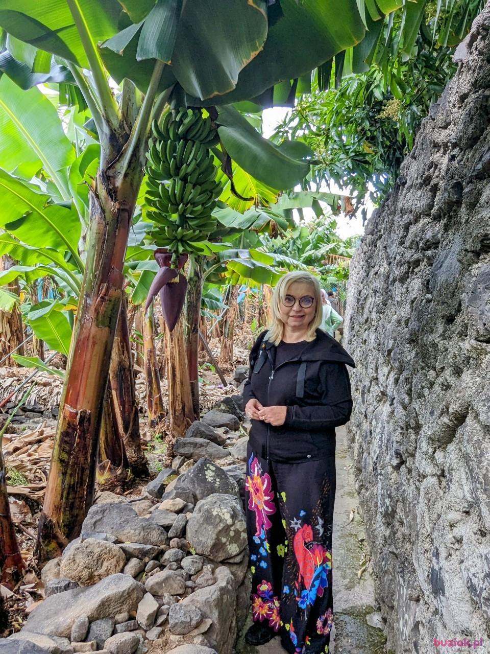 Doma, Female, 57, Wrocław, Polska, Photo: 2