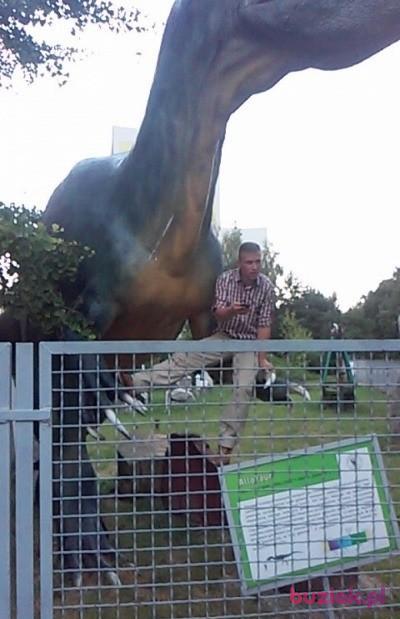 Grzegorz , Mężczyzna, 46, Grajewo, Polska, Zdjęcie: 5