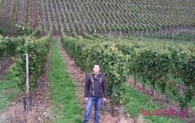 artur, Mężczyzna, 37, Łańcut, Polska, Zdjęcie: 3