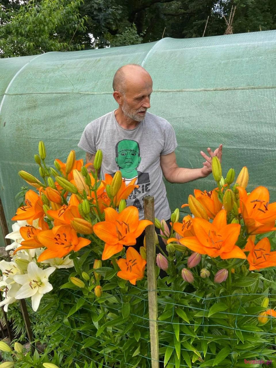 Janek, Male, 63, Głogów, Polska, Photo: 9