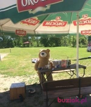 Łukasz , Mężczyzna, 37, Holandia, Zdjęcie: 6