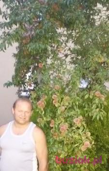 Bogdan, Mężczyzna, 59, Polska, Zdjęcie: 1