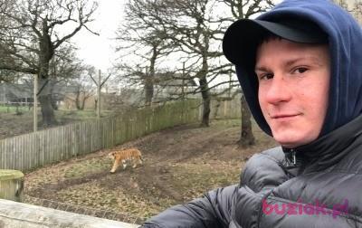 Kamil, Mężczyzna, 32, Rotherham, Wielka Brytania, Zdjęcie: 5