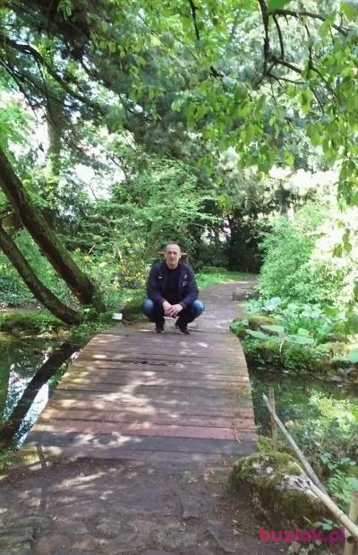 Grzegorz, Mężczyzna, 53, Gorzów Wielkopolski, Polska, Zdjęcie: 3