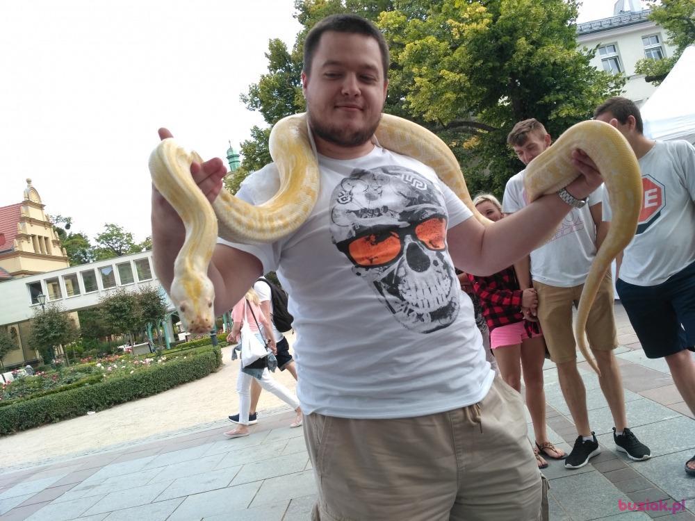 Mikołaj, Mężczyzna, 31, Olsztyn, Polska, Zdjęcie: 3