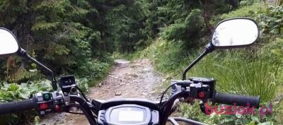 Piter, Mężczyzna, 56, Bielsko-Biała, Polska, Zdjęcie: 2