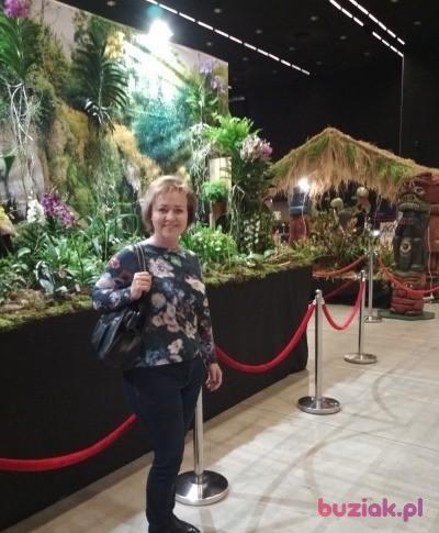 Gabi, Kobieta, 59, Racibórz, Polska, Zdjęcie: 4