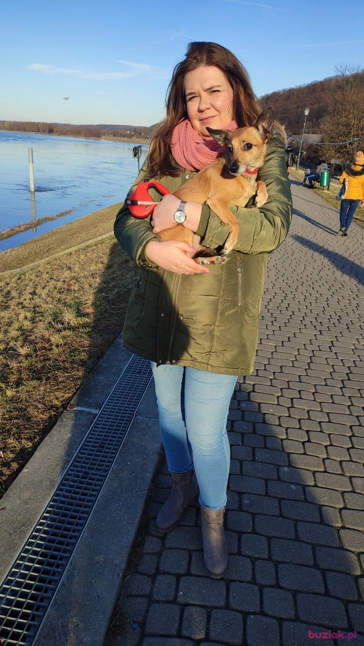 Dorota, Kobieta, 44, Lublin, Polska, Zdjęcie: 2