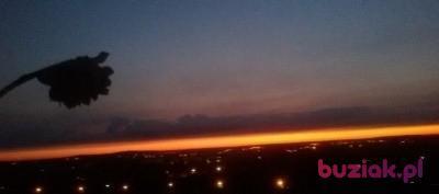 Elżbieta, Kobieta, 64, Poznań, Polska, Zdjęcie: 5