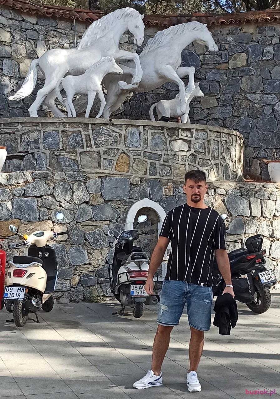 Dawid, Mężczyzna, 34, Rotterdam, Holandia, Zdjęcie: 4