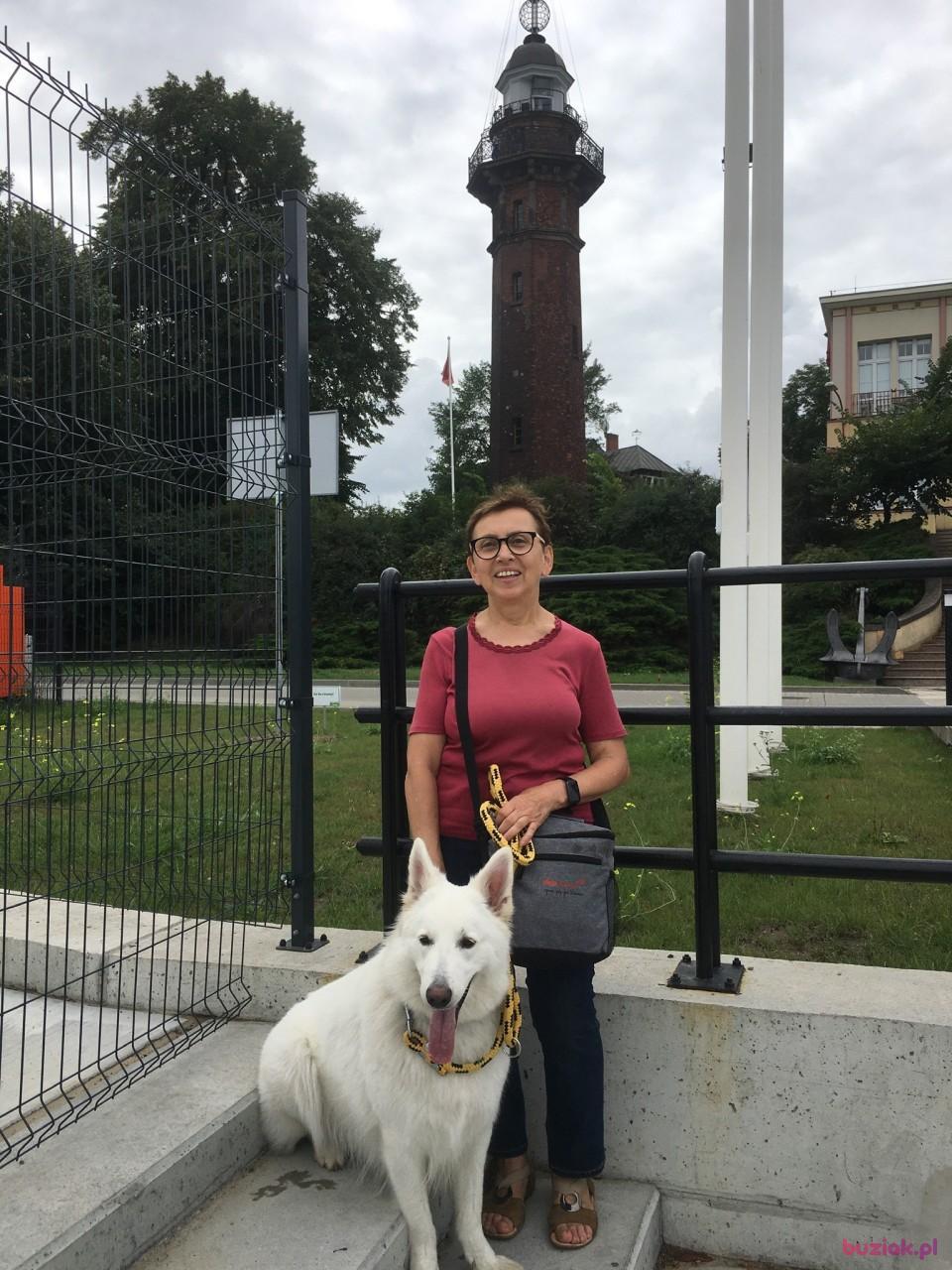 Małgorzata, Female, 69, Gdańsk, Polska, Photo: 4