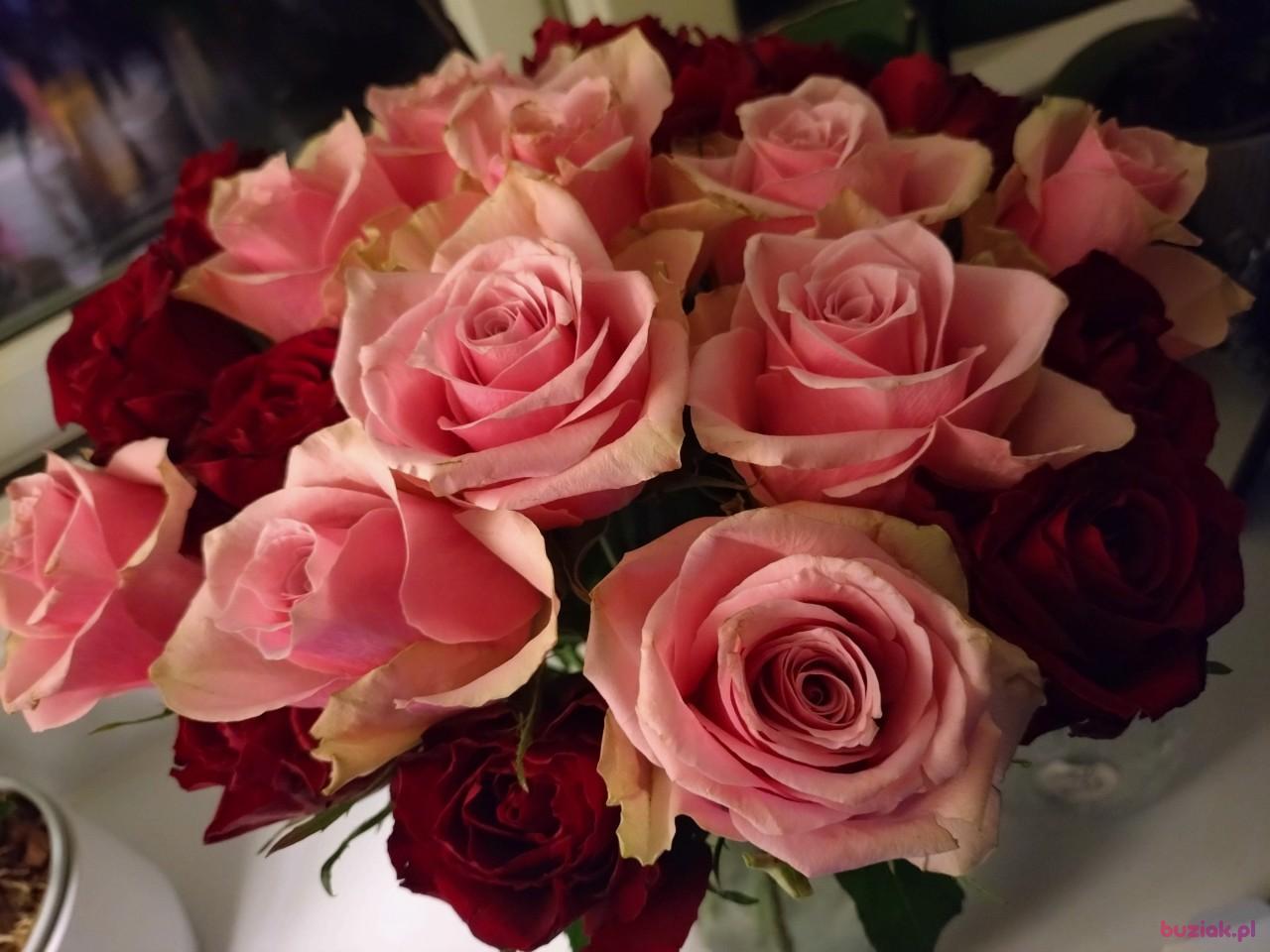 Barbara, Kobieta, 57, Wielka Brytania, Zdjęcie: 2