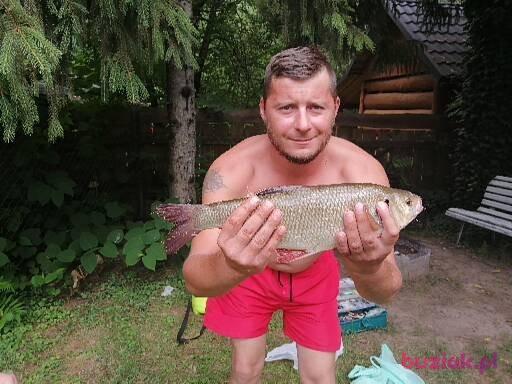 ASH, Mężczyzna, 43, Jarosław, Polska, Zdjęcie: 4