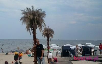 bogdan91, Mężczyzna, 35, Leżajsk, Polska, Zdjęcie: 3