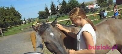 Joanna, Kobieta, 30, Gliwice, Polska, Zdjęcie: 2