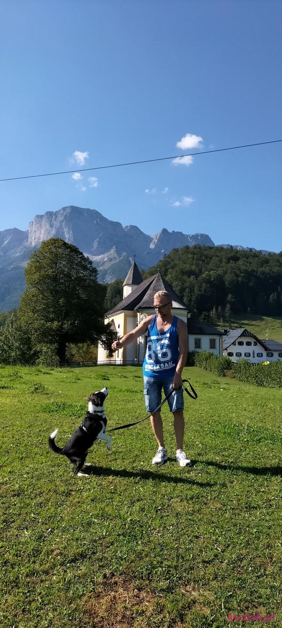 Marek, Mężczyzna, 60, Sosnowiec, Polska, Zdjęcie: 5
