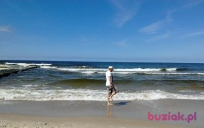 notthingam, Male, 49, Sosnowiec, Polska, Photo: 8