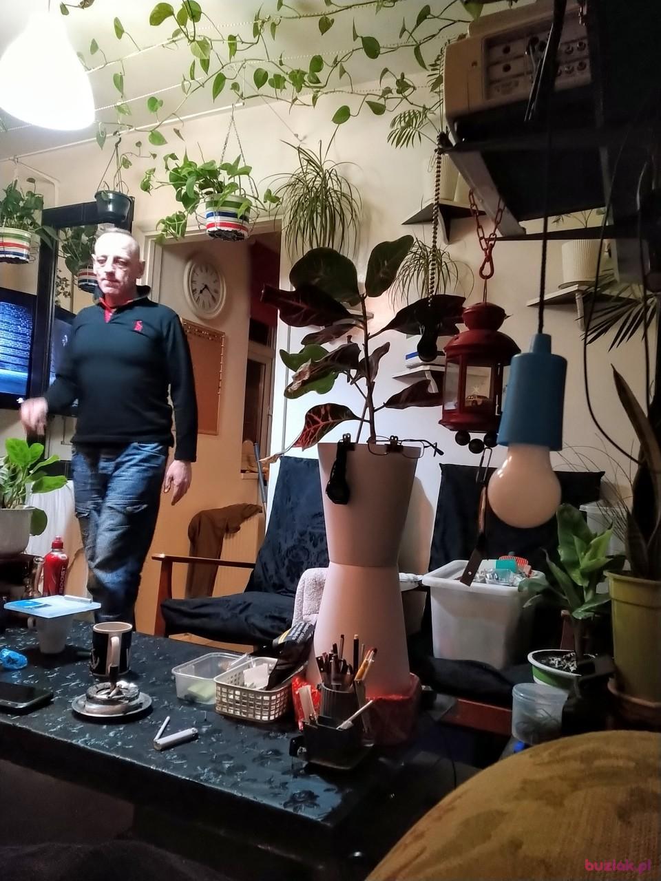 SylwekStr, Mężczyzna, 45, Croydon, Wielka Brytania, Zdjęcie: 2