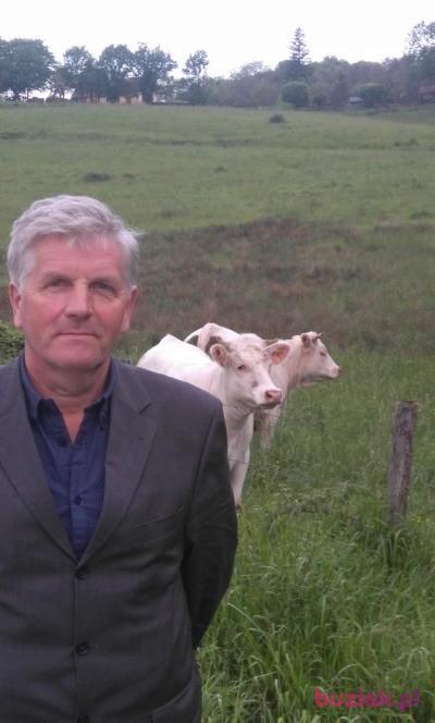 Bogdan, Mężczyzna, 67, Skierniewice, Polska, Zdjęcie: 2
