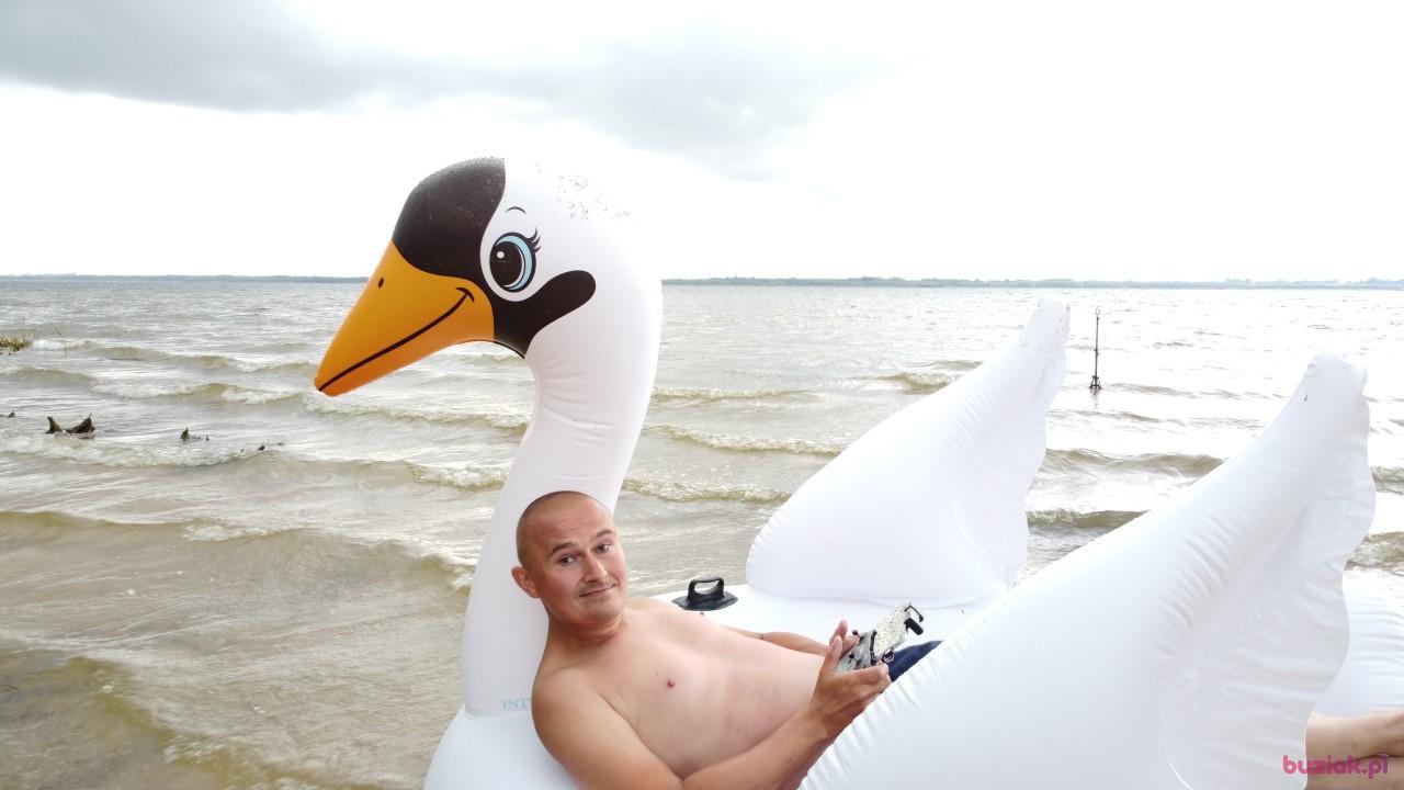 Michał, Male, 37, Zgierz, Polska, Photo: 552