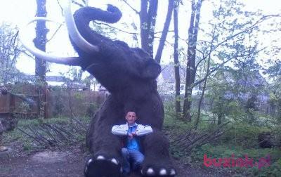 mlody1979, Mężczyzna, 47, Witnica, Polska, Zdjęcie: 3