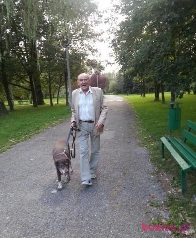 jerzy, Mężczyzna, 76, Kraków, Polska, Zdjęcie: 4
