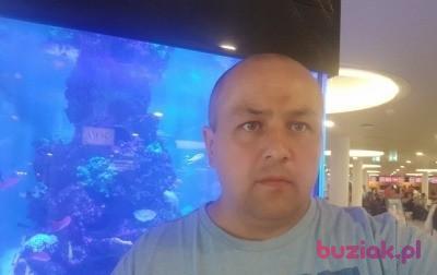 Adam, Mężczyzna, 50, Frederiksberg, Dania, Zdjęcie: 2