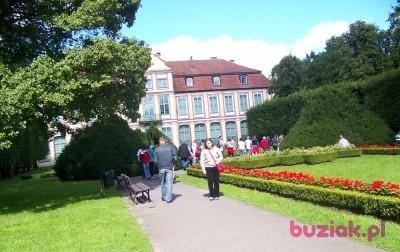 misia09, Kobieta, 42, Grybów, Polska, Zdjęcie: 1