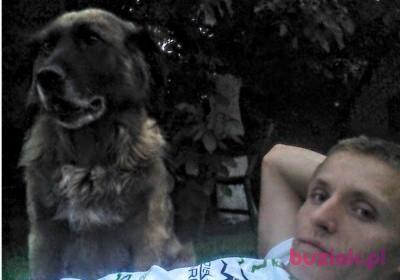 Paweł, Mężczyzna, 36, Nowy Tomyśl, Polska, Zdjęcie: 2