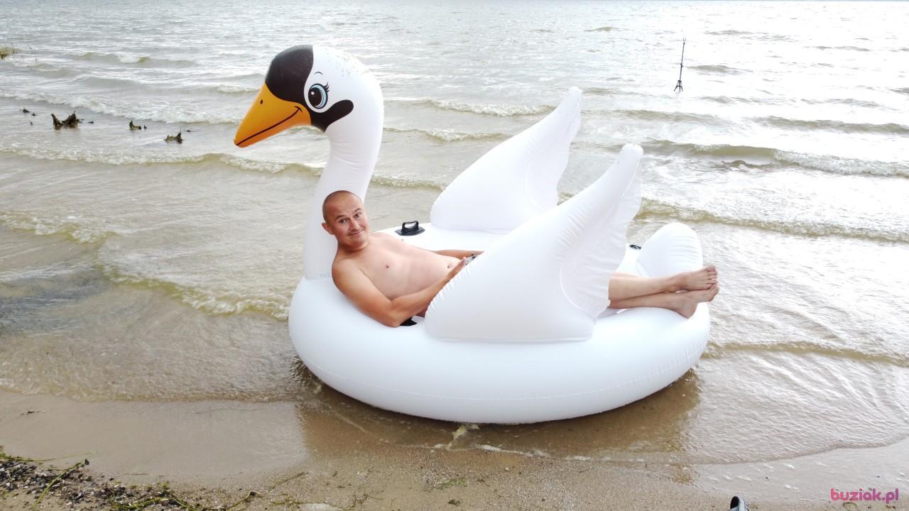 Michał, Male, 37, Zgierz, Polska, Photo: 549