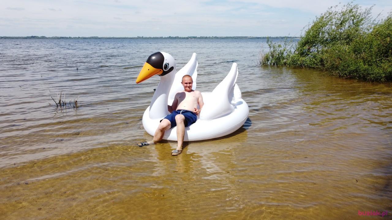 Michał, Male, 37, Zgierz, Polska, Photo: 383