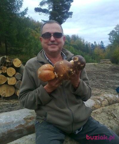 jacek102, Mężczyzna, 65, Bielsko-Biała, Polska, Zdjęcie: 3