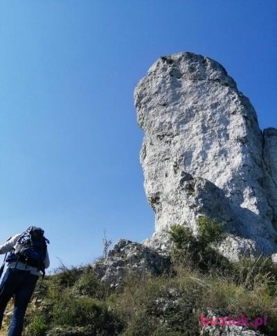 Wookie, Mężczyzna, 51, Tychy, Polska, Zdjęcie: 4