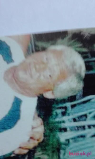 janusz, Mężczyzna, 77, Konstancja, Niemcy, Zdjęcie: 2