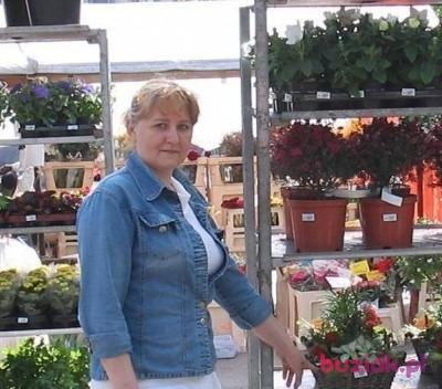 Anna, Kobieta, 61, Rydułtowy, Polska, Zdjęcie: 1