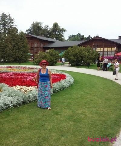 Grażyna, Kobieta, 66, Olsztyn, Polska, Zdjęcie: 3