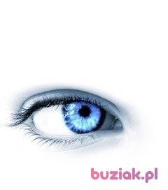 Izabela, Kobieta, 42, Bielawa, Polska, Zdjęcie: 4