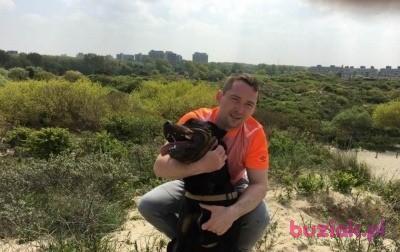 Mateusz, Mężczyzna, 35, Rotterdam, Holandia, Zdjęcie: 2