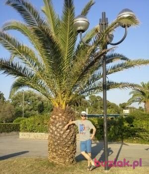 Michał, Mężczyzna, 43, Gdańsk, Polska, Zdjęcie: 4