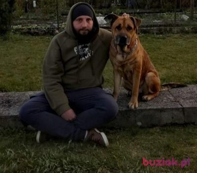 Patryk, Mężczyzna, 36, Tychy, Polska, Zdjęcie: 3
