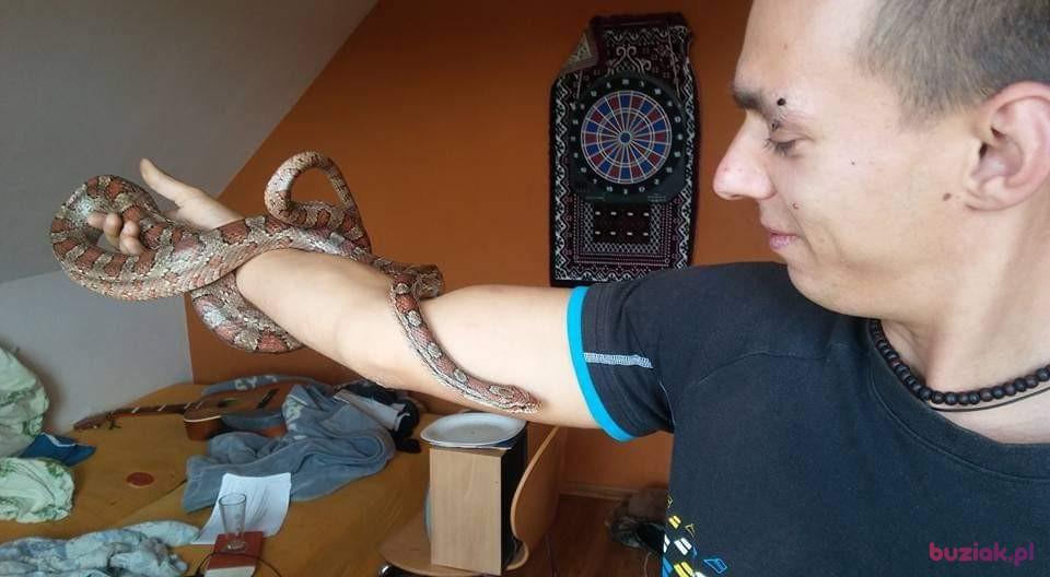 Kamil, Mężczyzna, 34, Breda, Holandia, Zdjęcie: 5