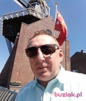 Robert, Mężczyzna, 53, Haarlem, Holandia, Zdjęcie: 2