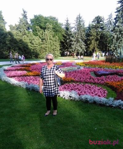 Ania, Kobieta, 66, Mława, Polska, Zdjęcie: 14