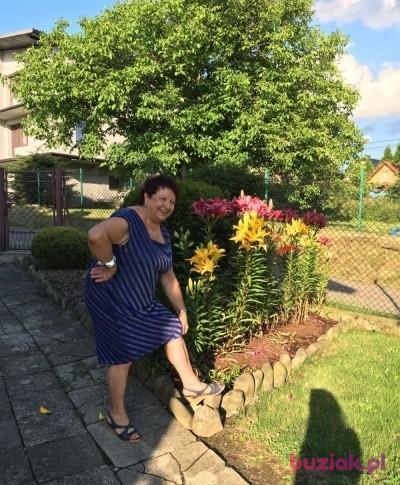 Anna, Kobieta, 77, Żywiec, Polska, Zdjęcie: 2