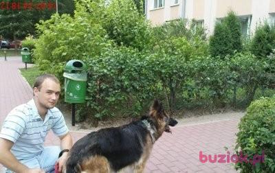 robert, Mężczyzna, 40, Warszawa, Polska, Zdjęcie: 1