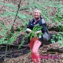 HENIA, Kobieta, 65, Szczecin, Polska, Zdjęcie: 2