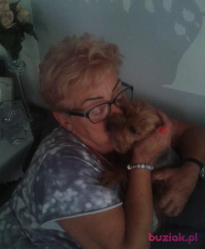 Anna, Kobieta, 77, Warszawa, Polska, Zdjęcie: 2
